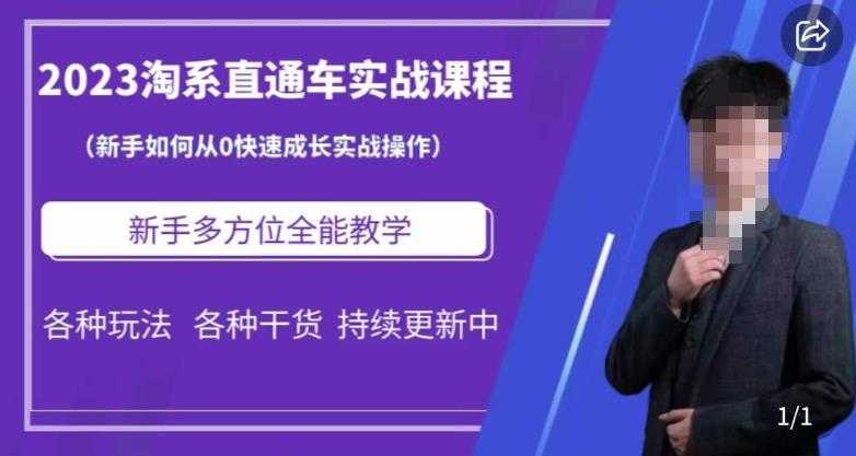 拼多多开店虚拟变现项目：入门到精通，从小白到日入过千（15节完整版）