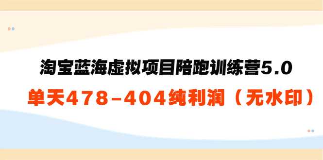 淘宝蓝海虚拟项目陪跑训练营5.0：单天478纯利润